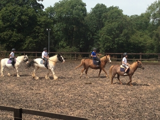 Year 6 Horse Riding