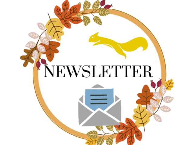 Autumn 1 Newsletter